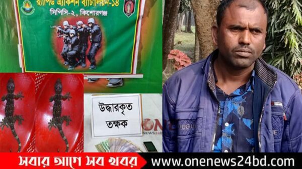 কিশোরগঞ্জের করিমগঞ্জে দুটি তক্ষক ও নগদ টাকা’সহ প্রতারক আটক