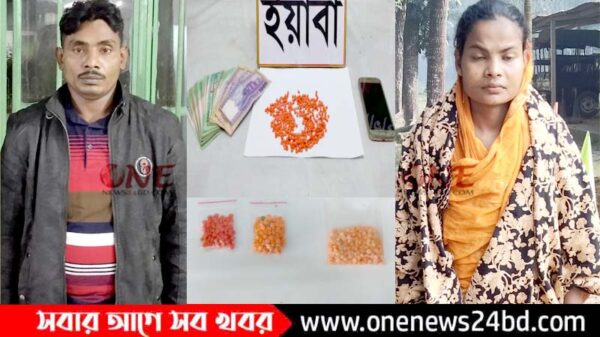 কিশোরগঞ্জে ইয়াবা’সহ দুই মাদক ব্যবসায়ীকে গ্রেফতার করেছে র‌্যাব