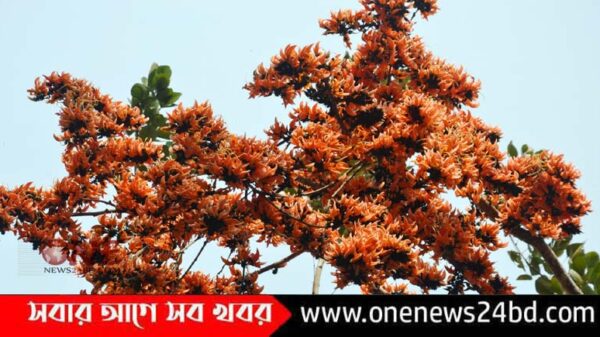 প্রকৃতিতে ঋতুরাজ বসন্তের পদার্পণ-ফাগুন বিচরণের শুভেচ্ছা