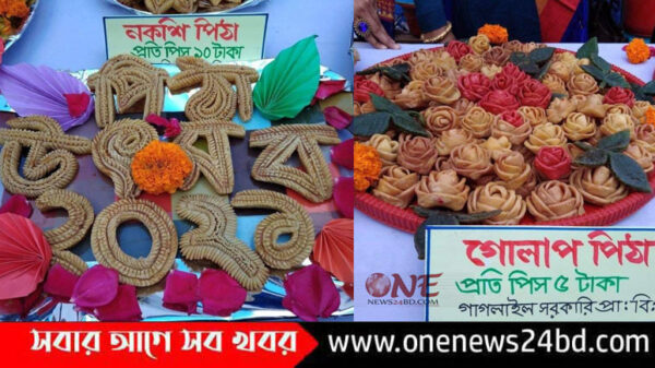 কিশোরগঞ্জে প্রাথমিক শিক্ষকদের গেট-টুগেদার ও শীতকালীন পিঠা উৎসব অনুষ্ঠিত