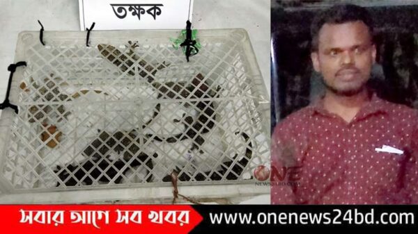 কিশোরগঞ্জে প্রায় ২৮ লক্ষ টাকার তক্ষক’সহ গ্রেফতার ১