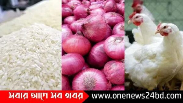 আসছে রমজান, বাড়ছে চাল পেঁয়াজ মাংসের দাম