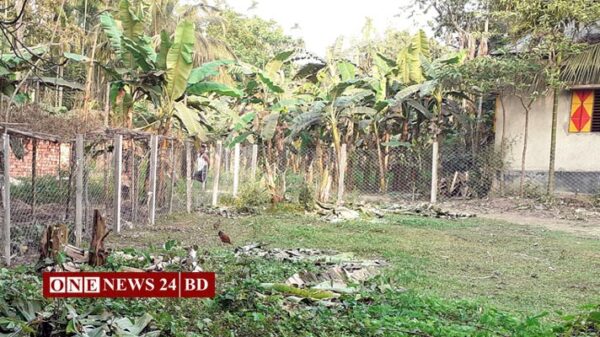 পাকুন্দিয়ায় সংখ্যালঘু পরিবারের জমি দখল, বাড়িঘর ভাঙচুর ও লুটপাট