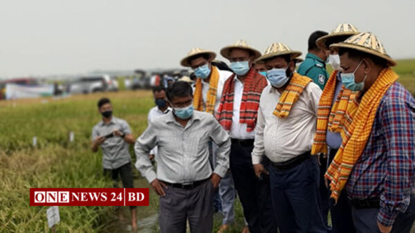 গরম বাতাসে ফসল নষ্ট, কৃষি মন্ত্রণালয় থেকে চার সদস্যের প্রতিনিধি দলের হাওর পরিদর্শন