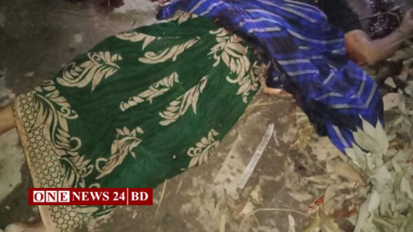 কুলিয়ারচরে মাদকাসক্ত নাতির দা এর কুপে নানি নিহত, আহত ২