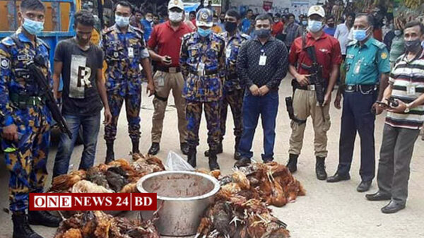 রাজধানীতে রেস্টুরেন্ট থেকে ২০০ মরা মুরগি উদ্ধার