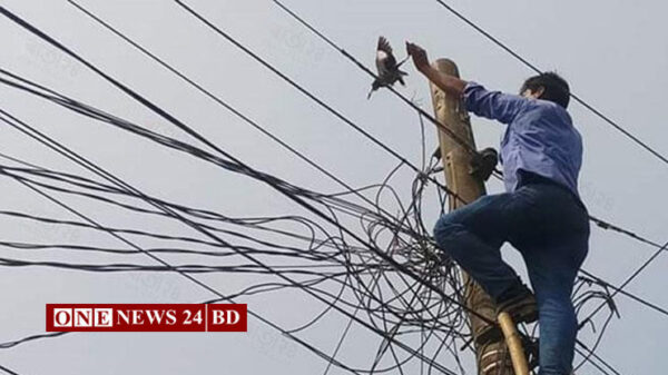 ৯৯৯ নম্বরে ফোন পেয়ে বিদ্যুতের তারে আটকে থাকা শালিক উদ্ধার