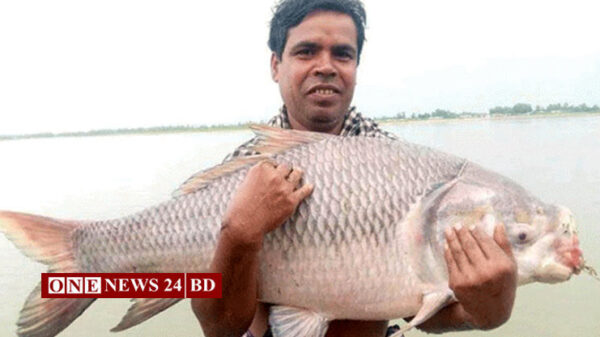বড়শিতে ধরা পড়ল ১৮ কেজির কাতলা