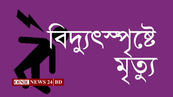 তাড়াইলে বিদ্যুৎস্পৃষ্টে শ্রমিকের মৃত্যু 