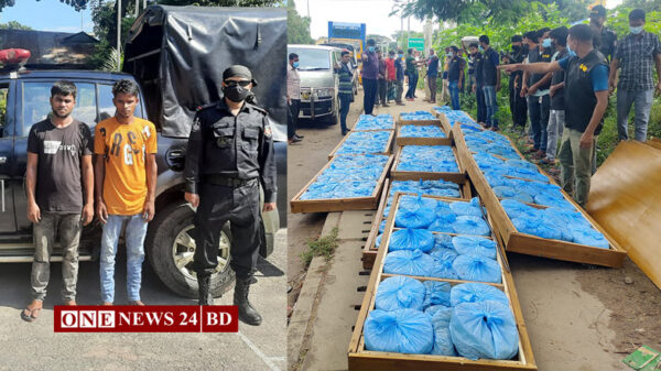 ভৈরবে অর্ধকোটি টাকার গাজাঁ’সহ আটক-২, পিকাপ ভ্যান জব্দ