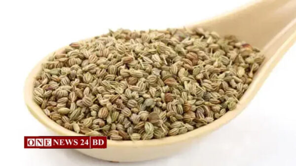 নিয়মিত জোয়ান খেলে সারবে যেসব রোগ