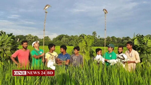 বক দিয়ে বক শিকার, ভ্রাম্যমাণ আদালতে আটক ৩