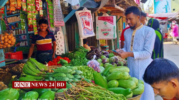 তাড়াইলের প্রতিটি বাজার শীতের সবজিতে ভরপুর 