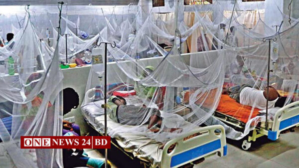 ডেঙ্গু আক্রান্ত আরও দুইজন হাসপাতালে ভর্তি