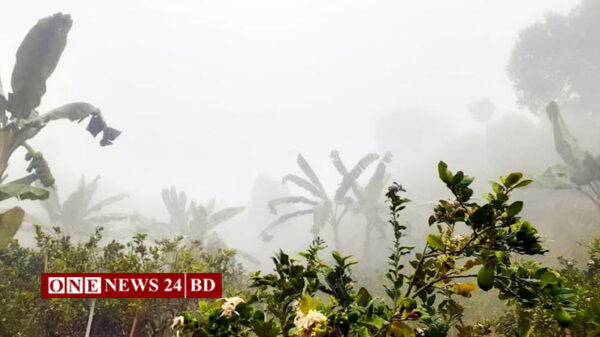 কুয়াশা ও কনকনে শীতে কাবু শ্রমজীবীরা