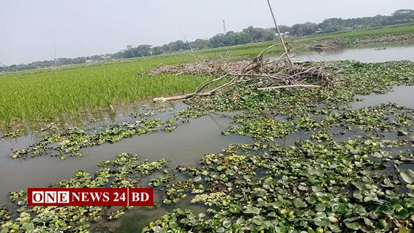 তাড়াইলের বোয়ালিয়া বিল ইজারা বাতিলের আবেদন জমা ভূমি মন্ত্রণালয়ে
