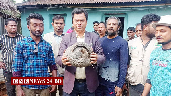 ক্রেতা সেজে চা বাগান থেকে বিপন্ন প্রাণী বনরুই উদ্বার