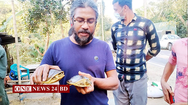 কমলগঞ্জে ২টি কচ্ছপ উদ্ধার, পরে অবমুক্ত