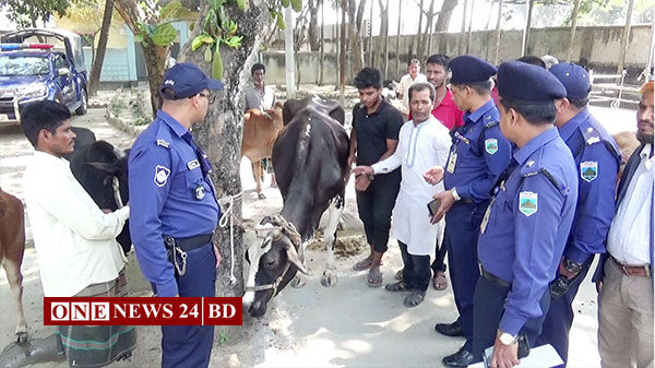 নওগাঁর বদলগাছীতে বাবা-ছেলে ও শশুর সহ আন্ত:চোর চক্রের ৪ সদস্য গ্রেপ্তার