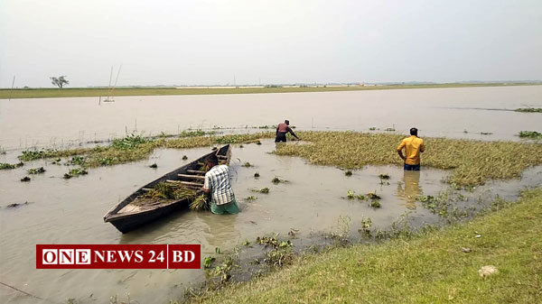 পাহাড়ি ঢলে ধানের ক্ষতি, চিন্তিত নয় মন্ত্রণালয়!