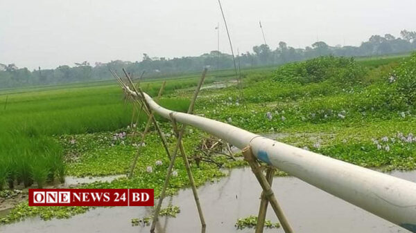 তাড়াইলের বোয়ালিয়া বিলের সাবলীজ ওয়ালারা মাটি বিক্রি করছে 