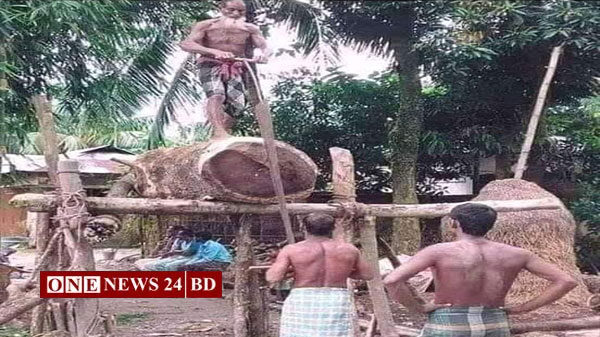 নিকলীতে হারিয়ে যেতে বসেছে করাতি পেশা, বদল করছেন পেশা