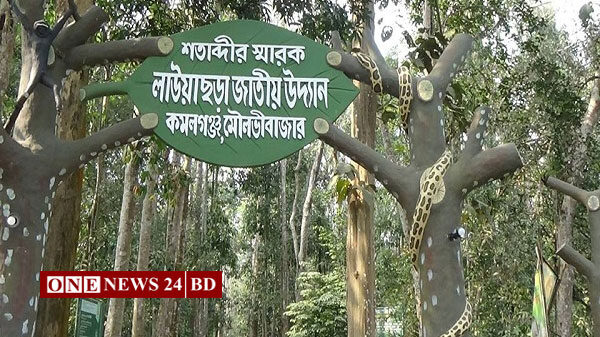 লাউয়াছড়ায় গাড়ির চাকায় পিষ্ট হয়ে বানর ও সাপের মৃত্যু