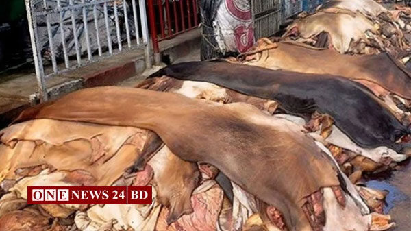 কোরবানির পশুর চামড়ার যে দাম নির্ধারণ করলো সরকার