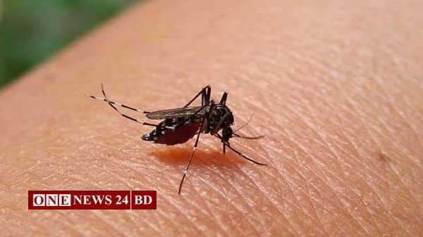 ডেঙ্গু আক্রান্ত হয়ে একদিনে ১১৬ জন হাসপাতালে