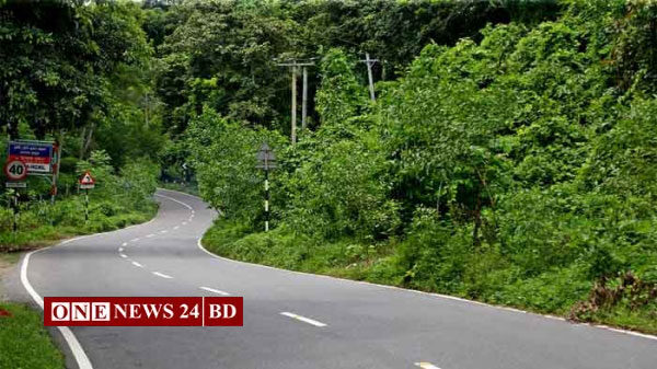 মৌলভীবাজারের শ্রীমঙ্গলে সড়কে গাড়ি চাপায় প্রাণ গেল মেছো বিড়ালের