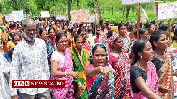 নেতাদের ‘দালাল’ আখ্যা দিয়ে আন্দোলন চালিয়ে যাওয়ার ঘোষণা চা শ্রমিকদের