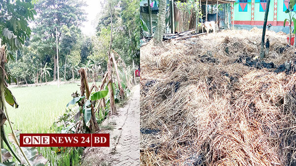 পাকুন্দিয়ায় মাদক সেবনে বাধা দেওয়ায় খড়ের গাদায় আগুন ও কলাগাছ কর্তন