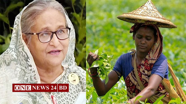 শনিবার চা শ্রমিকদের সঙ্গে কথা বলবেন প্রধানমন্ত্রী