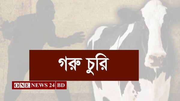 পাকুন্দিয়ায় একই রাতে তিন কৃষকের ৭টি গরুচুরি