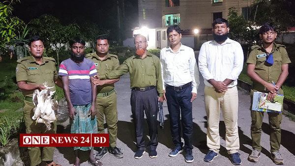মৌলভীবাজারে পাখিসহ শিকারির আটক-জেল-জরিমানা