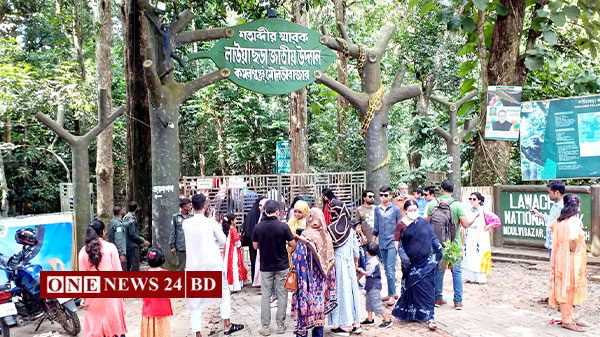 টানা ছুটিতে চায়ের রাজধানী কমলগঞ্জে পর্যটকদের উপচে পড়া ভিড়