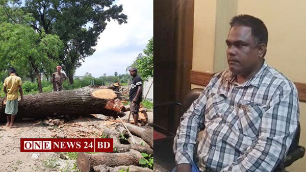 পৌরসভার গাছ চুরির অভিযোগে কাউন্সিলর গ্রেপ্তার