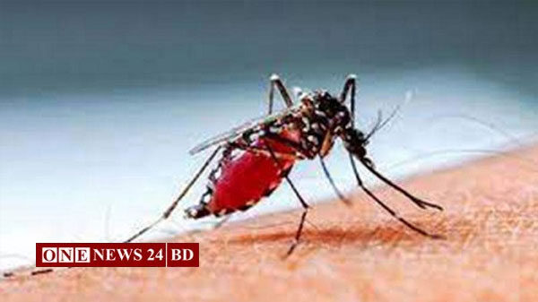 আরও ৫ ডেঙ্গু রোগীর মৃত্যু, হাসপাতালে ৯০৩