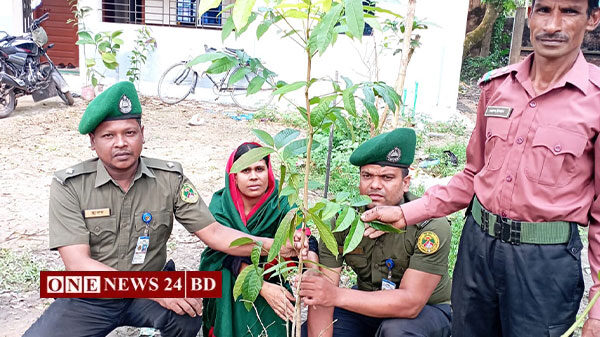 পাকুন্দিয়ায় আনসার ভিডিপি’র উদ্যোগে বৃক্ষ রোপন