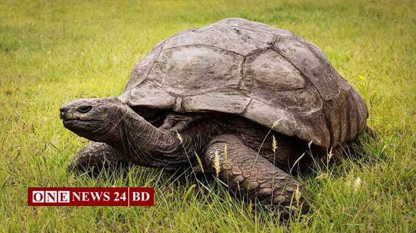 জোনাথনের ১৯০তম জন্মদিন পালন