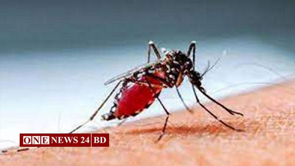 আরও ২২৪ ডেঙ্গু রোগী হাসপাতালে