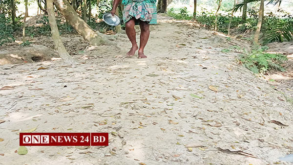 মুক্তিযোদ্ধা গোলাম রব্বানী সড়কের বেহাল দশা, সংস্কার জরুরী 