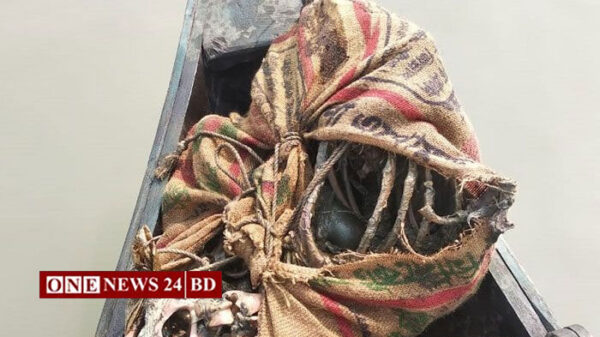 সুন্দরবন থেকে বাঘের মরদেহ উদ্ধার