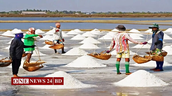 ৬২ বছরের মধ্যে দেশে রেকর্ড পরিমাণ লবণ উৎপাদন