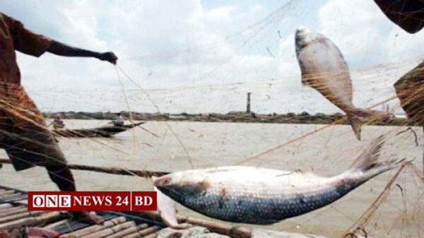 নিষেধাজ্ঞা শেষ, আজ মধ্যরাত থেকে ইলিশ ধরা শুরু