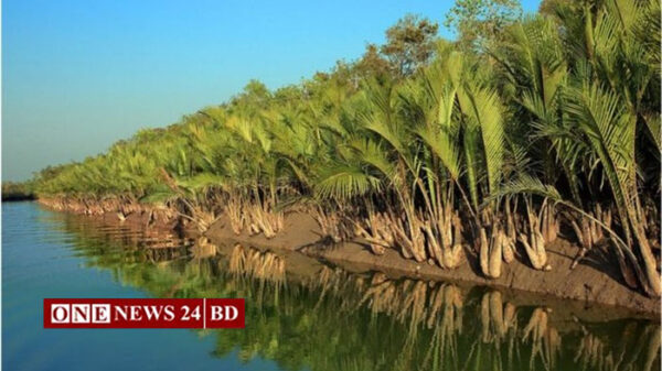 সুন্দরবনে পর্যটক প্রবেশ বন্ধ