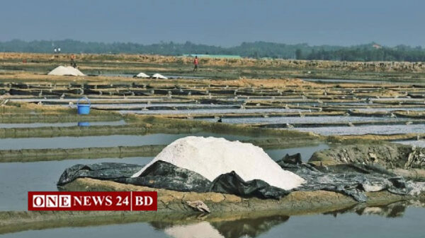 ঘূর্ণিঝড় মোখায় মহেশখালীতে ৩ লবণচাষির মৃত্যু