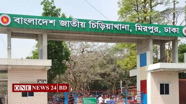 মিরপুর চিড়িয়াখানায় হায়েনার কামড়ে শিশুর হাত বিচ্ছিন্ন