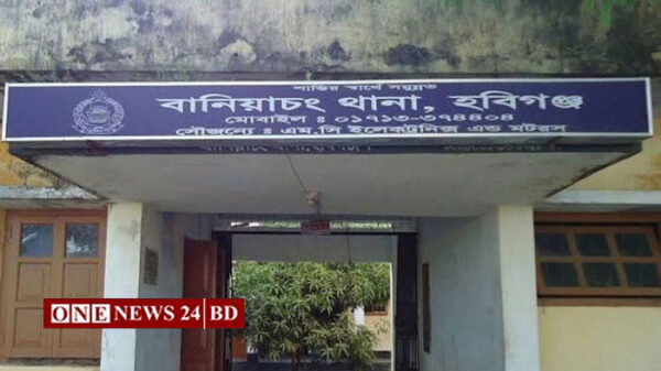 হবিগঞ্জে ছেলের হাতে মা খুন