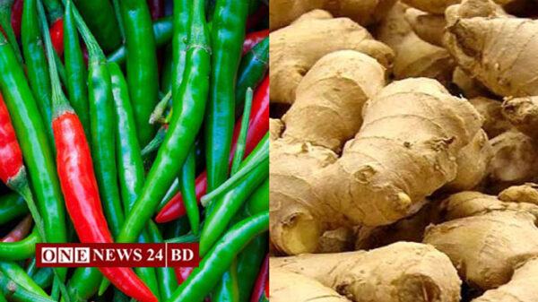 তাড়াইলে কাঁচামরিচ ৫০০, আদার কেজি ৪০০ টাকা